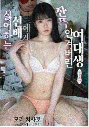 资讯配图，术语表扩展到 24 条时的词条卡片排列